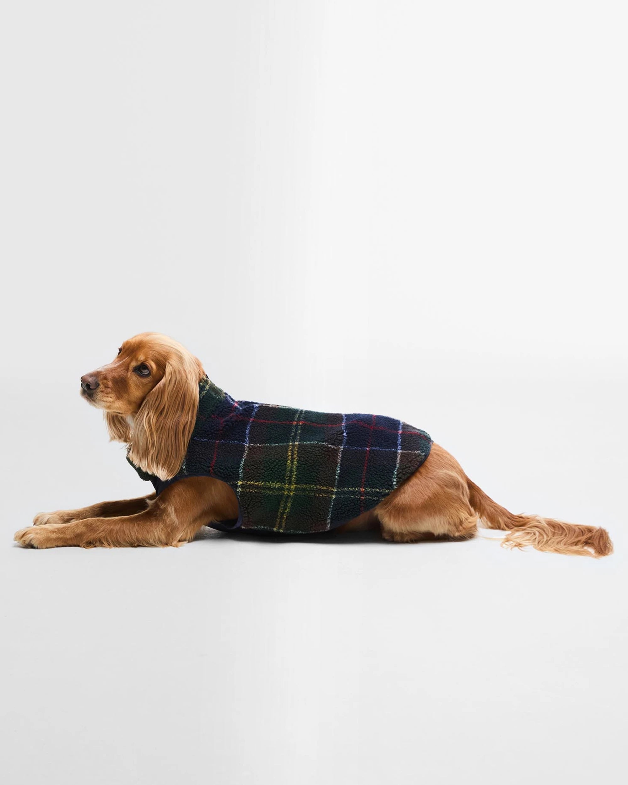 Barbour - Field Reversable Dog Coat