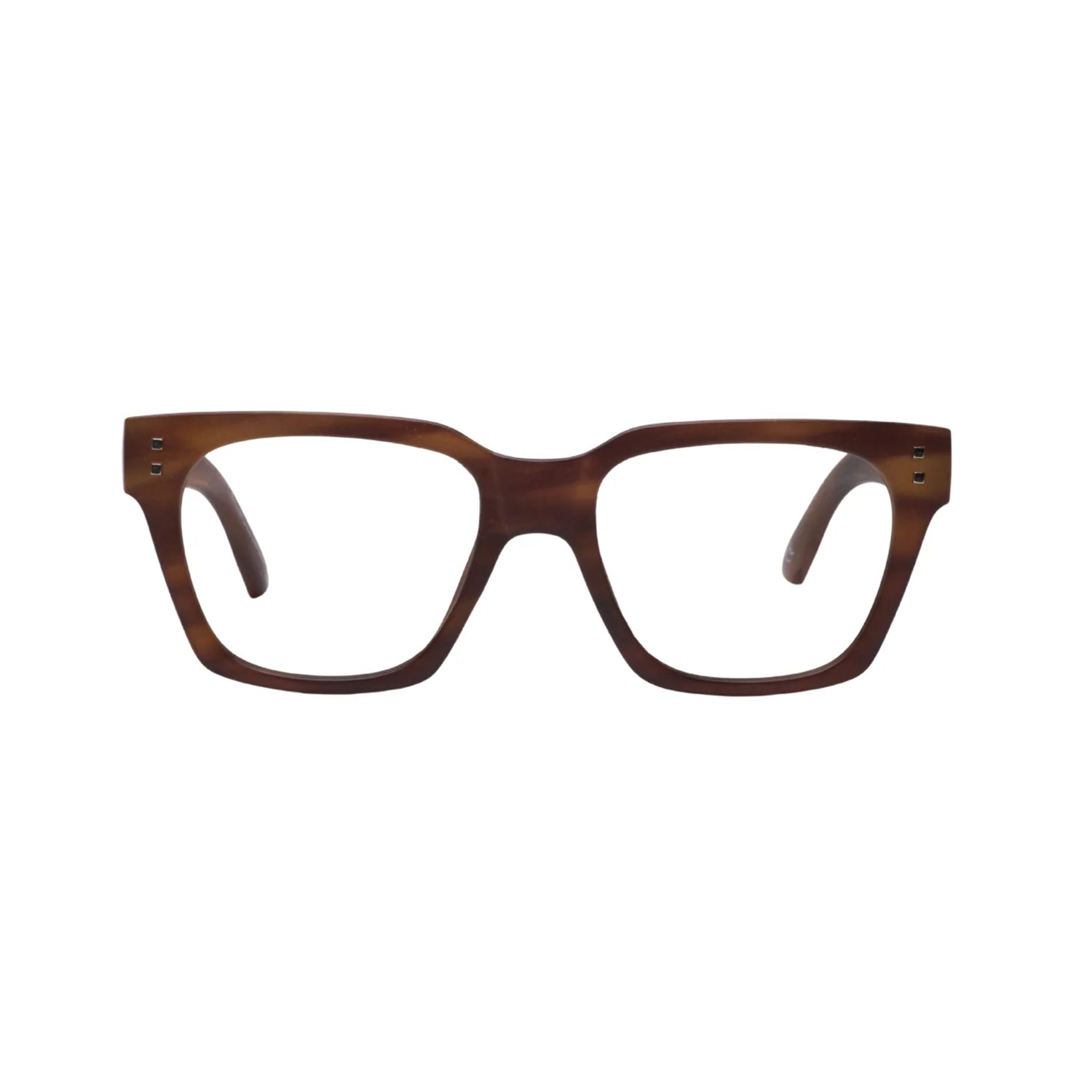 Daily Eyewear - 10am