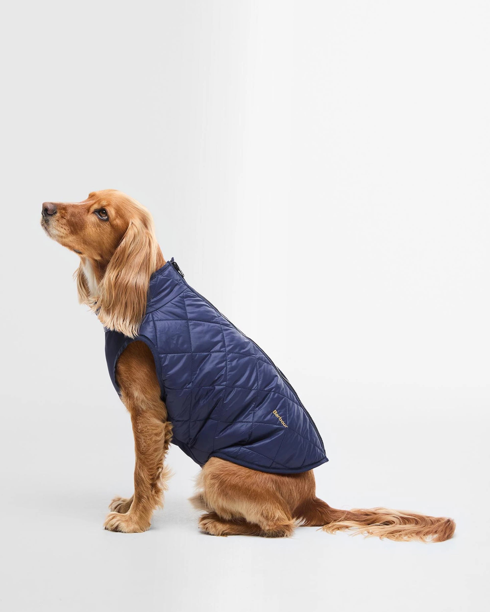 Barbour - Field Reversable Dog Coat