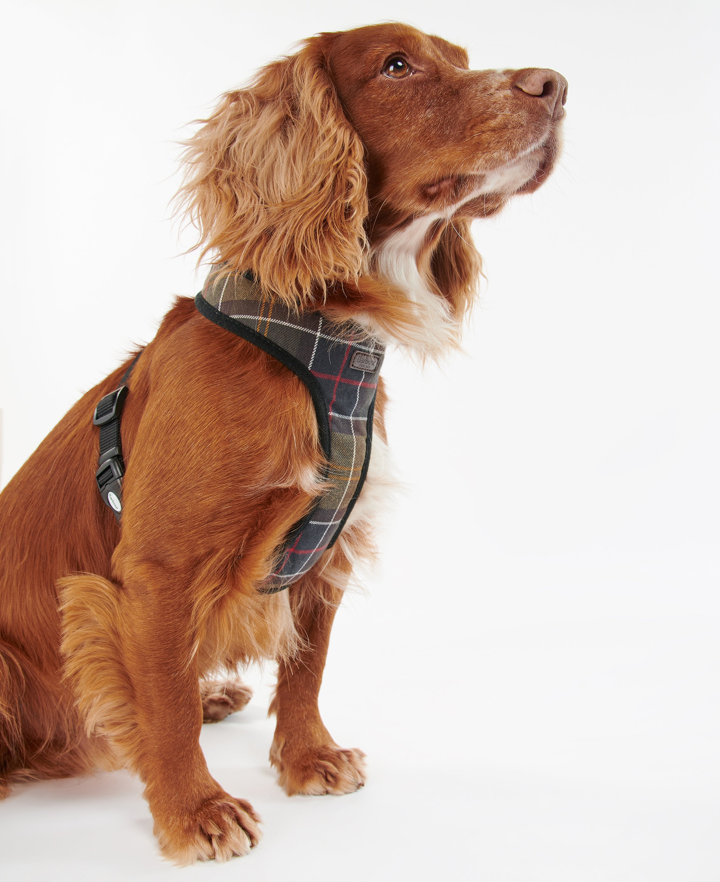 Barbour - Classic Tartan Dog Harness