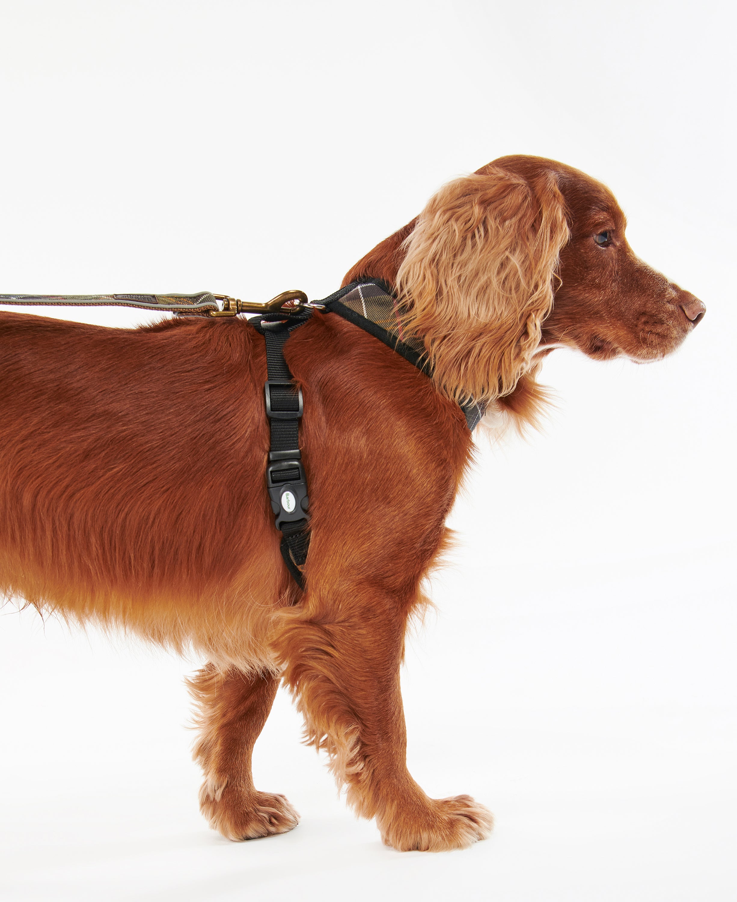 Barbour - Classic Tartan Dog Harness