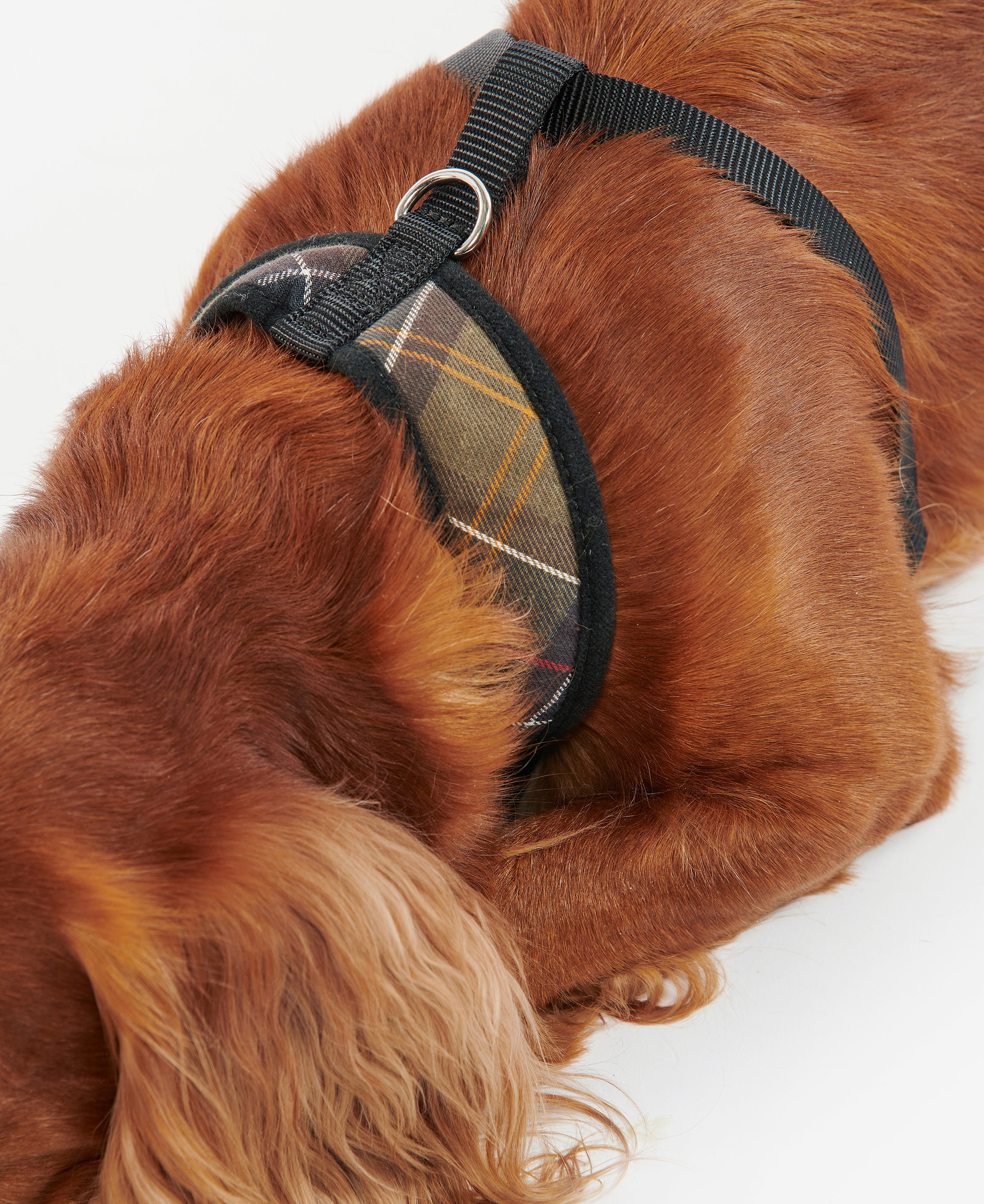 Barbour - Classic Tartan Dog Harness