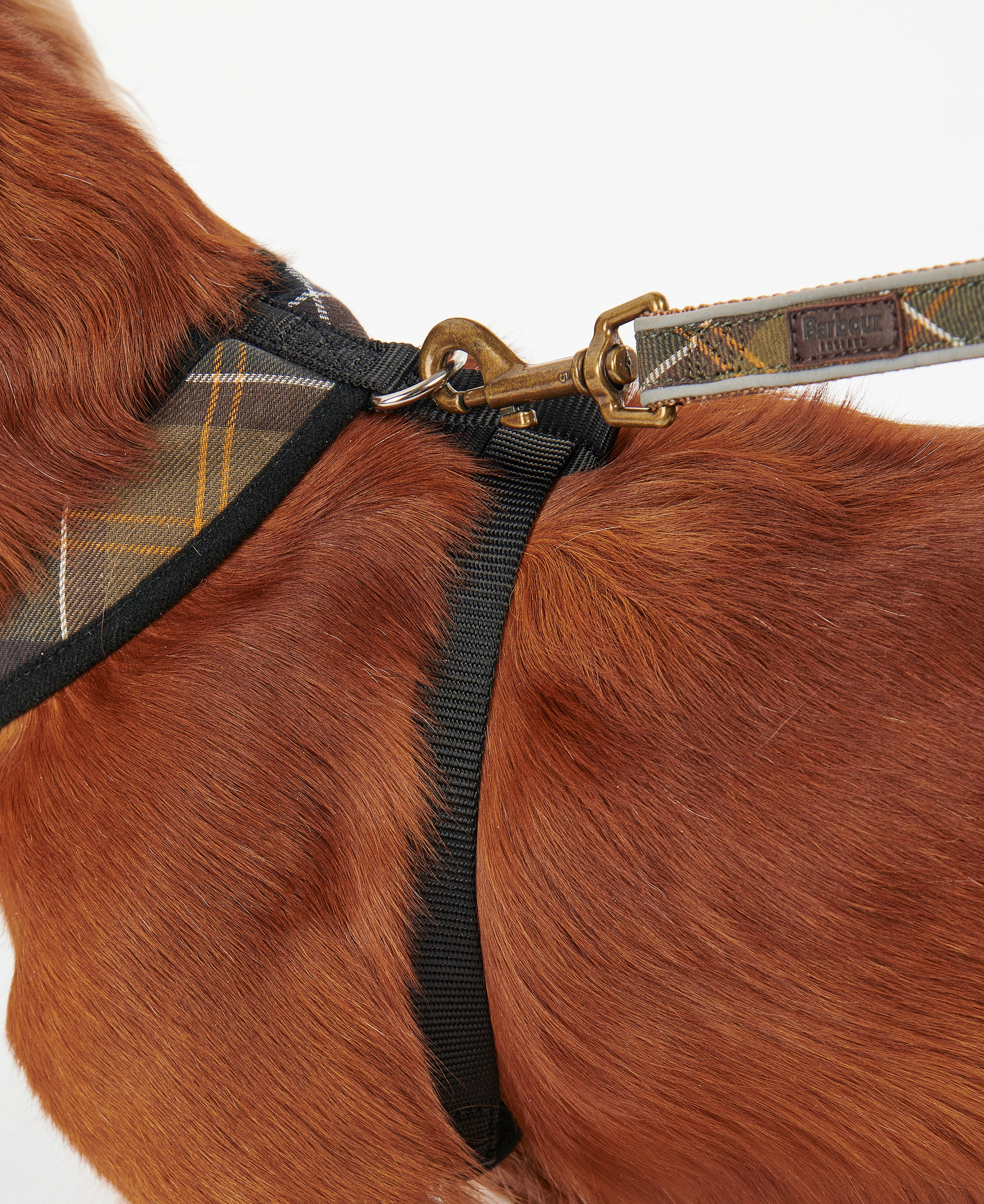 Barbour - Classic Tartan Dog Harness
