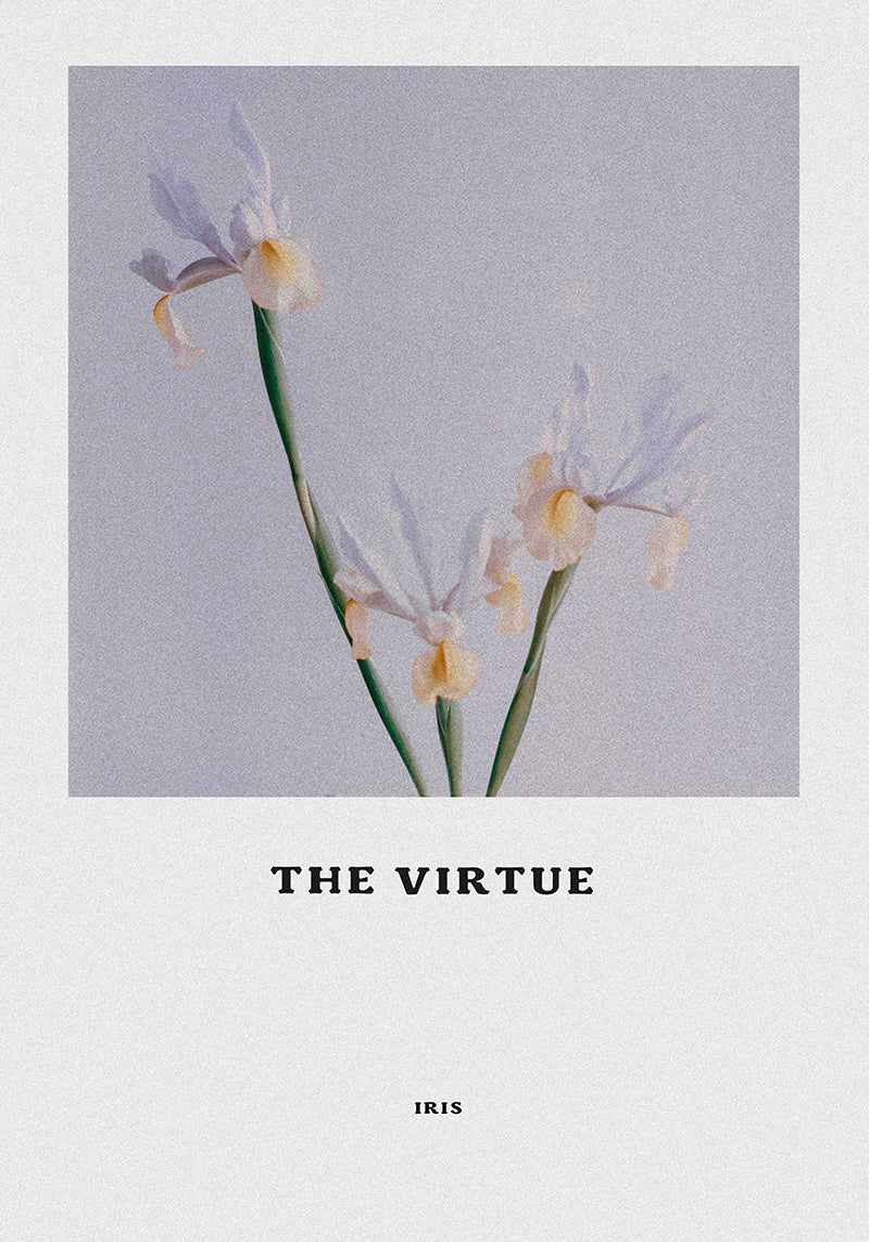 The Virtue  - Incense Sticks