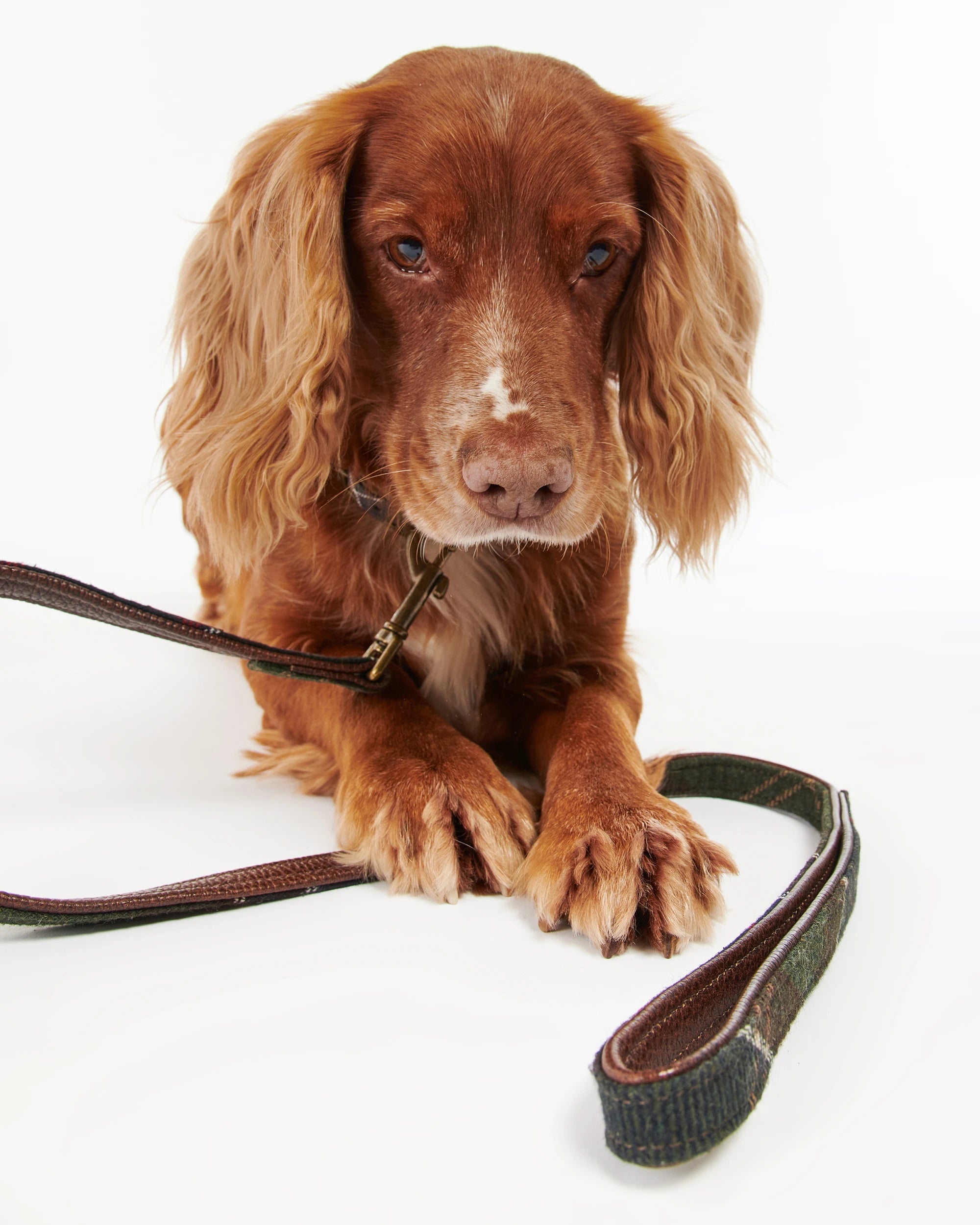 Barbour - Tartan Dog Lead
