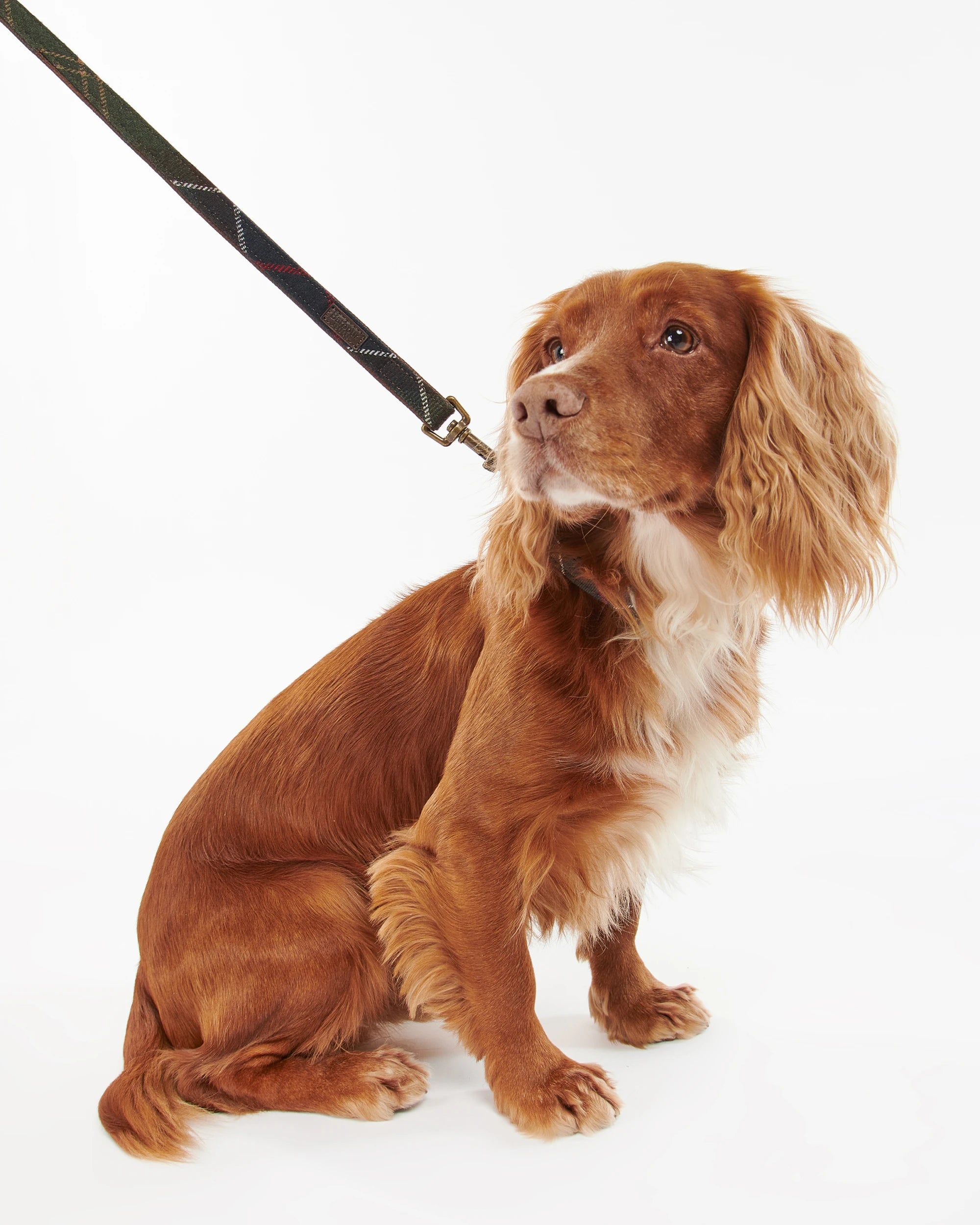 Barbour - Tartan Dog Lead