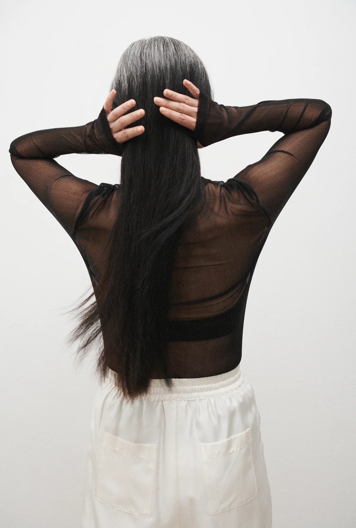 Silk Laundry - Mesh Long Sleeve Top