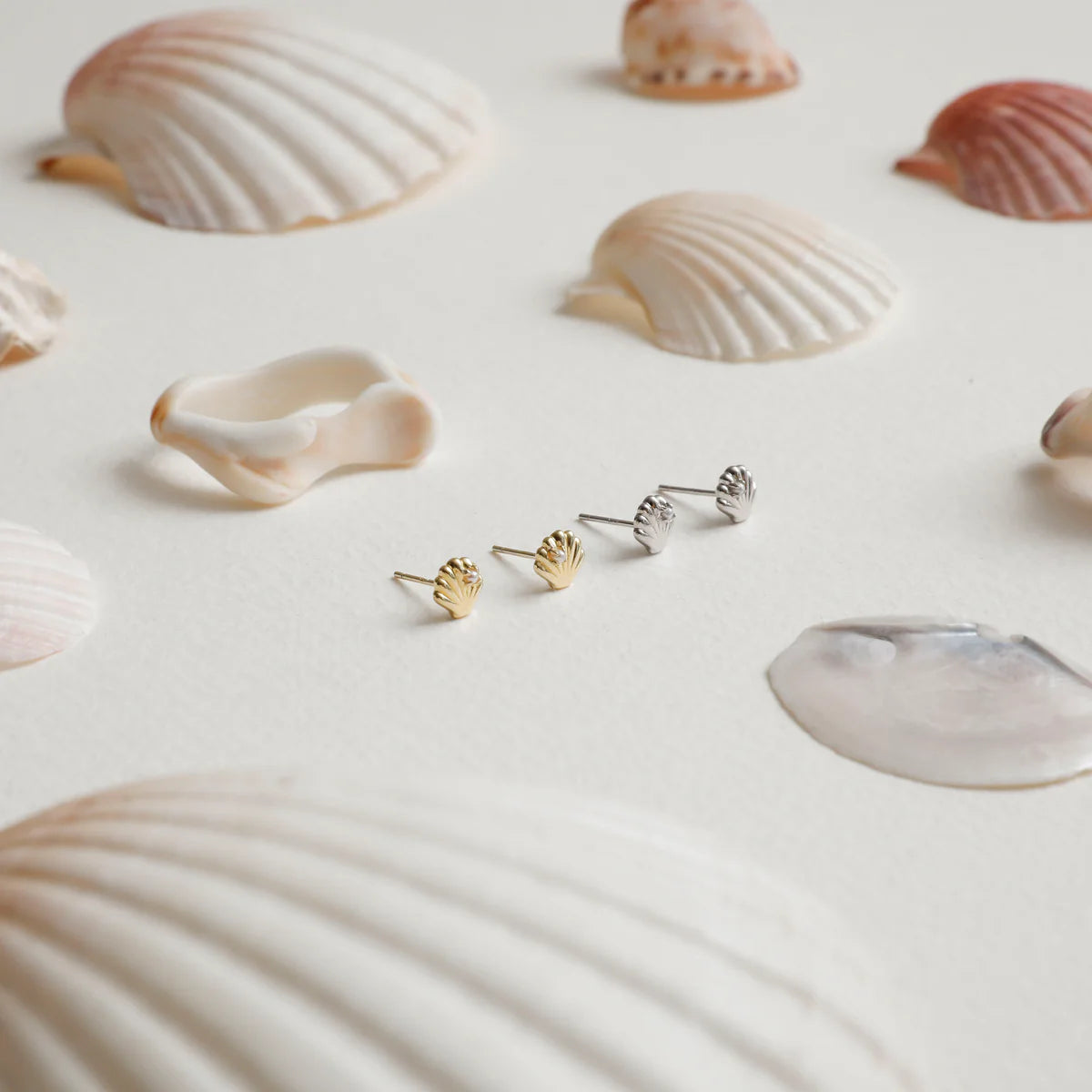 Sophie - She Shell Studs