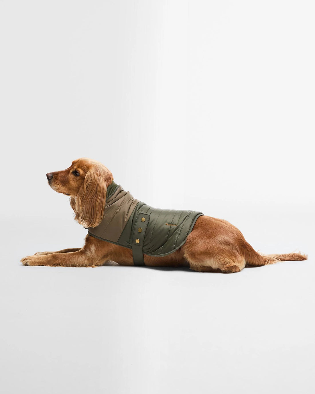 Barbour -  Brampton Quilted Dog Coat