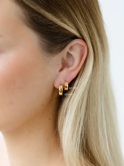 Sophie - Standard Hoop Studs