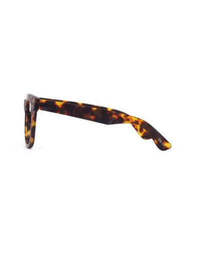 Daily Eyewear - 11am