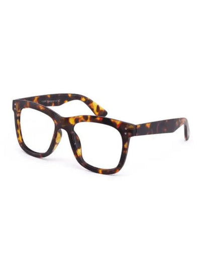 Daily Eyewear - 11am