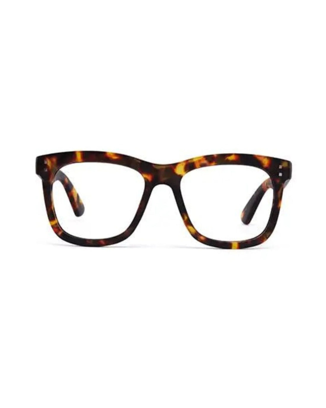 Daily Eyewear - 11am