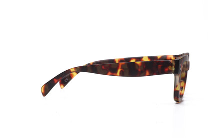 Daily Eyewear - 2pm
