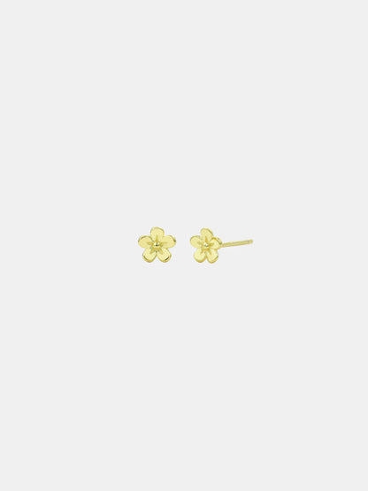 Sophie - Daisy Day Studs