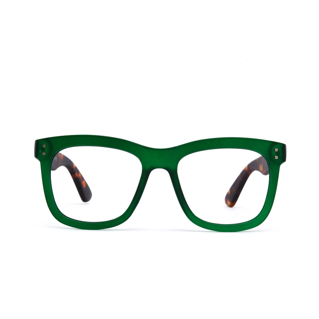 Daily Eyewear - 11am