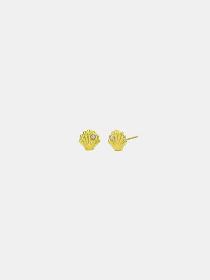 Sophie - She Shell Studs