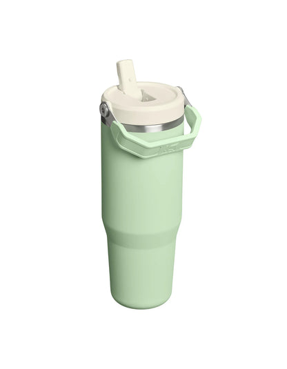 Stanley Flip Straw 2.0 Tumbler | 30 OZ - Pistachio