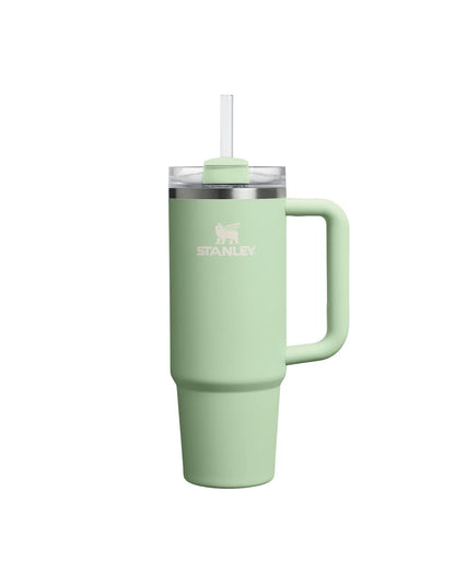 Stanley Quencher 2.0 Tumbler | 30 OZ - Pistachio