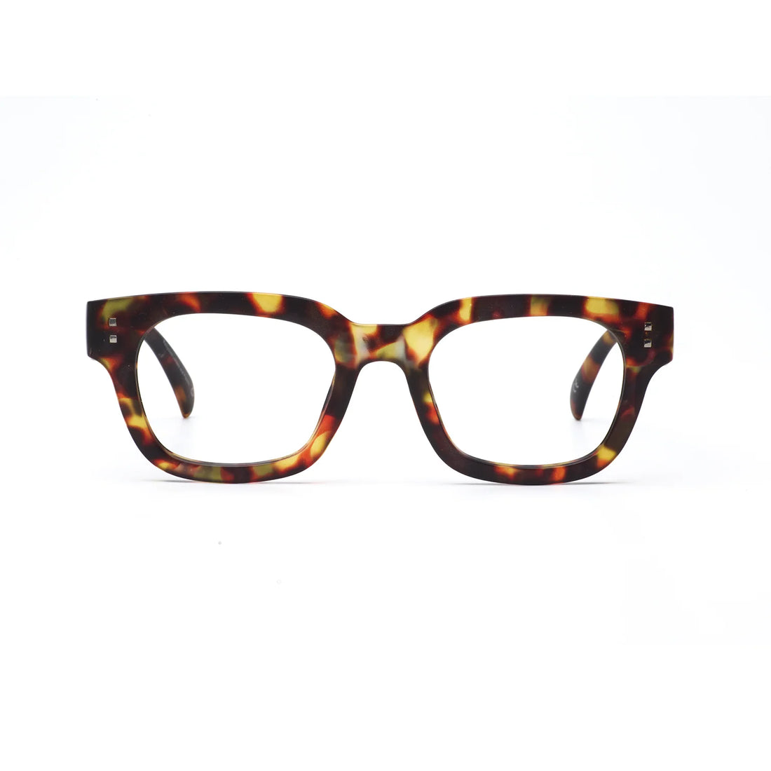 Daily Eyewear - 2pm