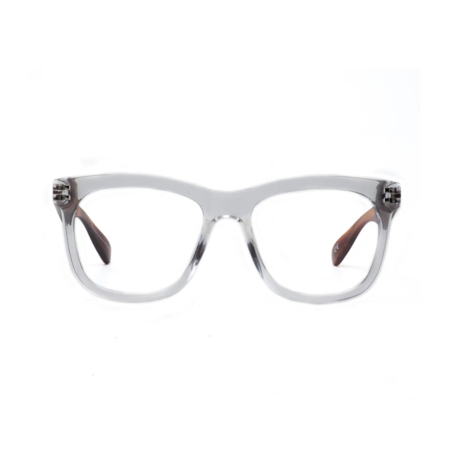 Daily Eyewear - 11am