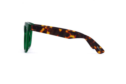 Daily Eyewear - 11am